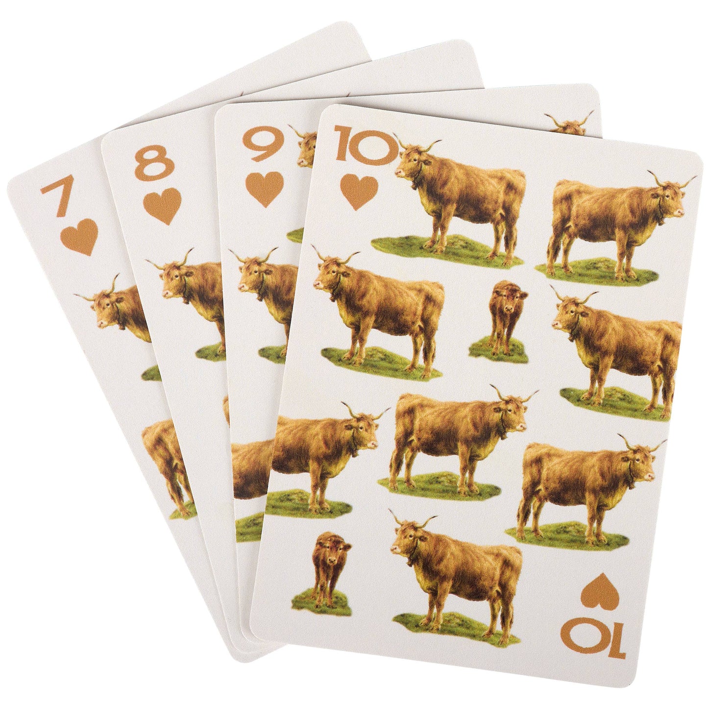 'The Stakes Are Highland' Playing Cards