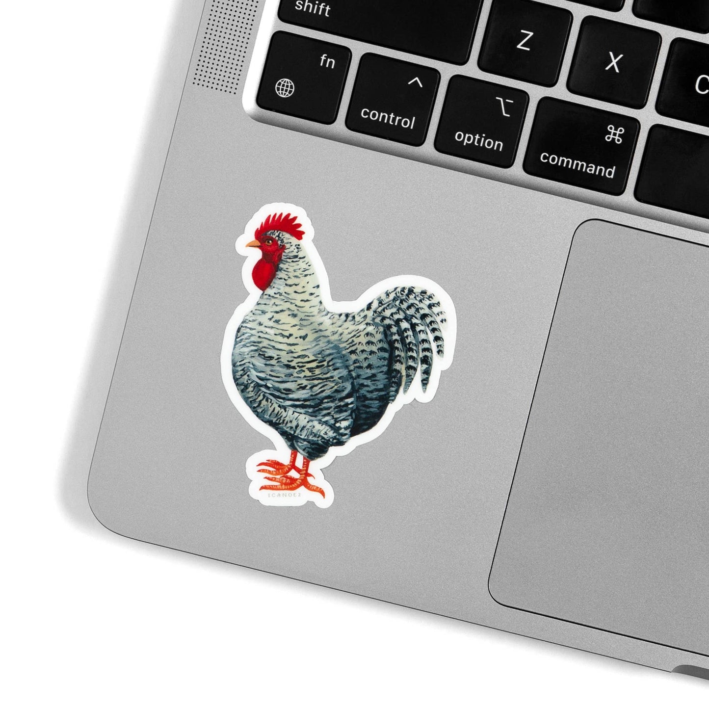 Wyandotte Chicken Sticker