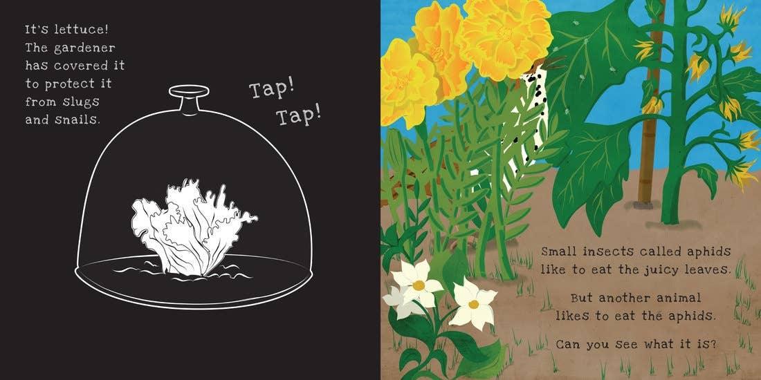 Shine-A-Light: Secrets of the Vegetable Garden Book - American Farm Company