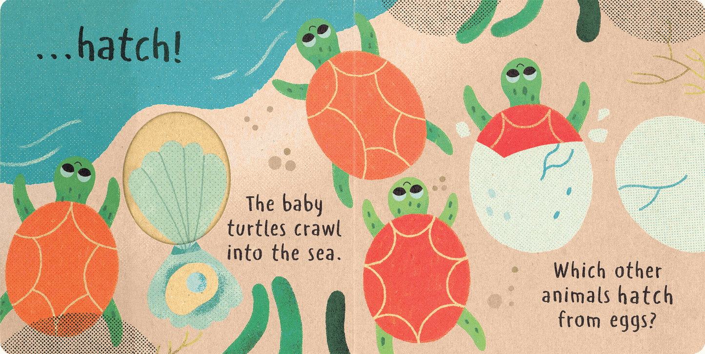 Little Nature: Hatch Book - American Farm Company