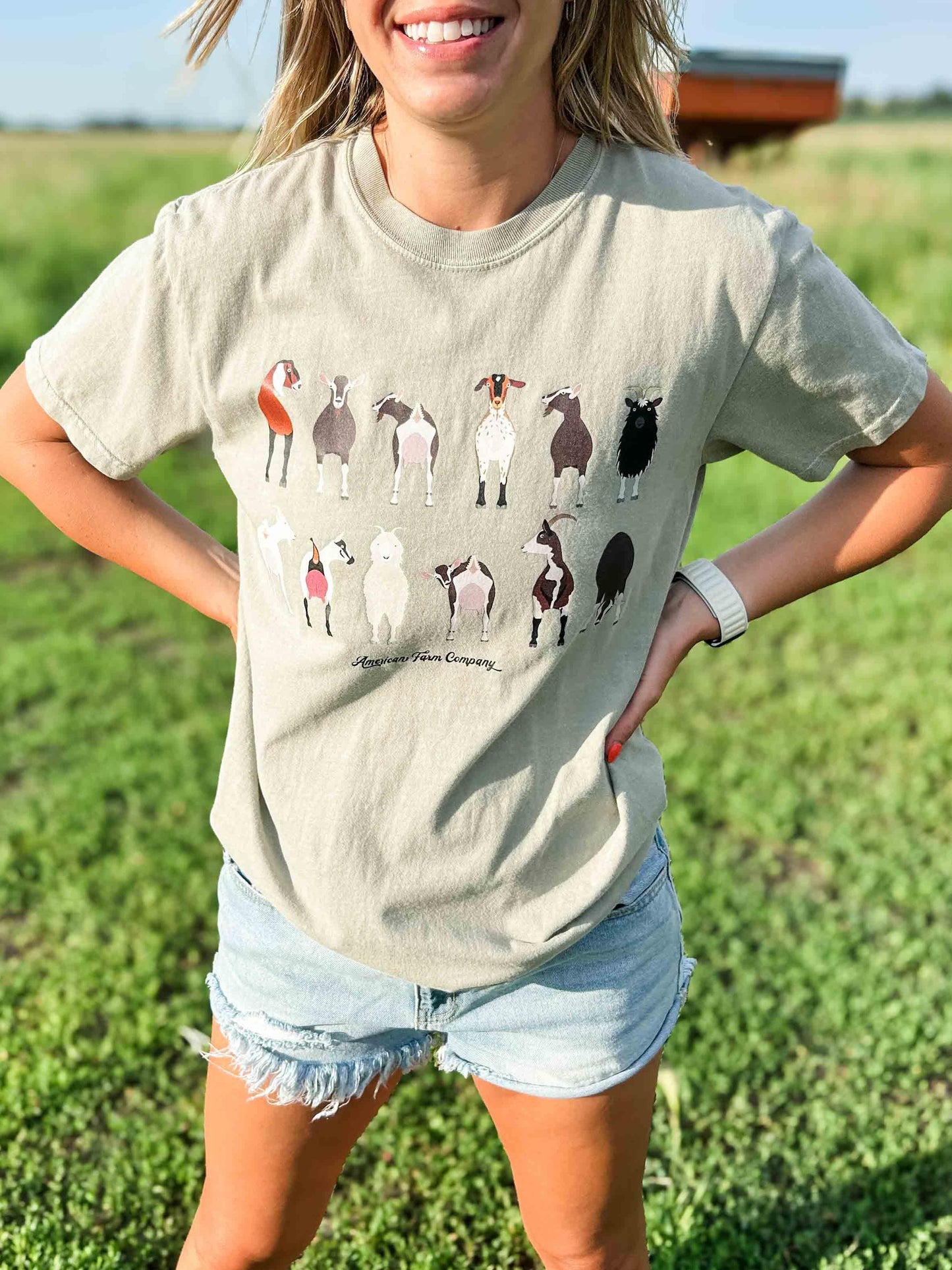 AFC Goats Washed Green Tee - American Farm Company