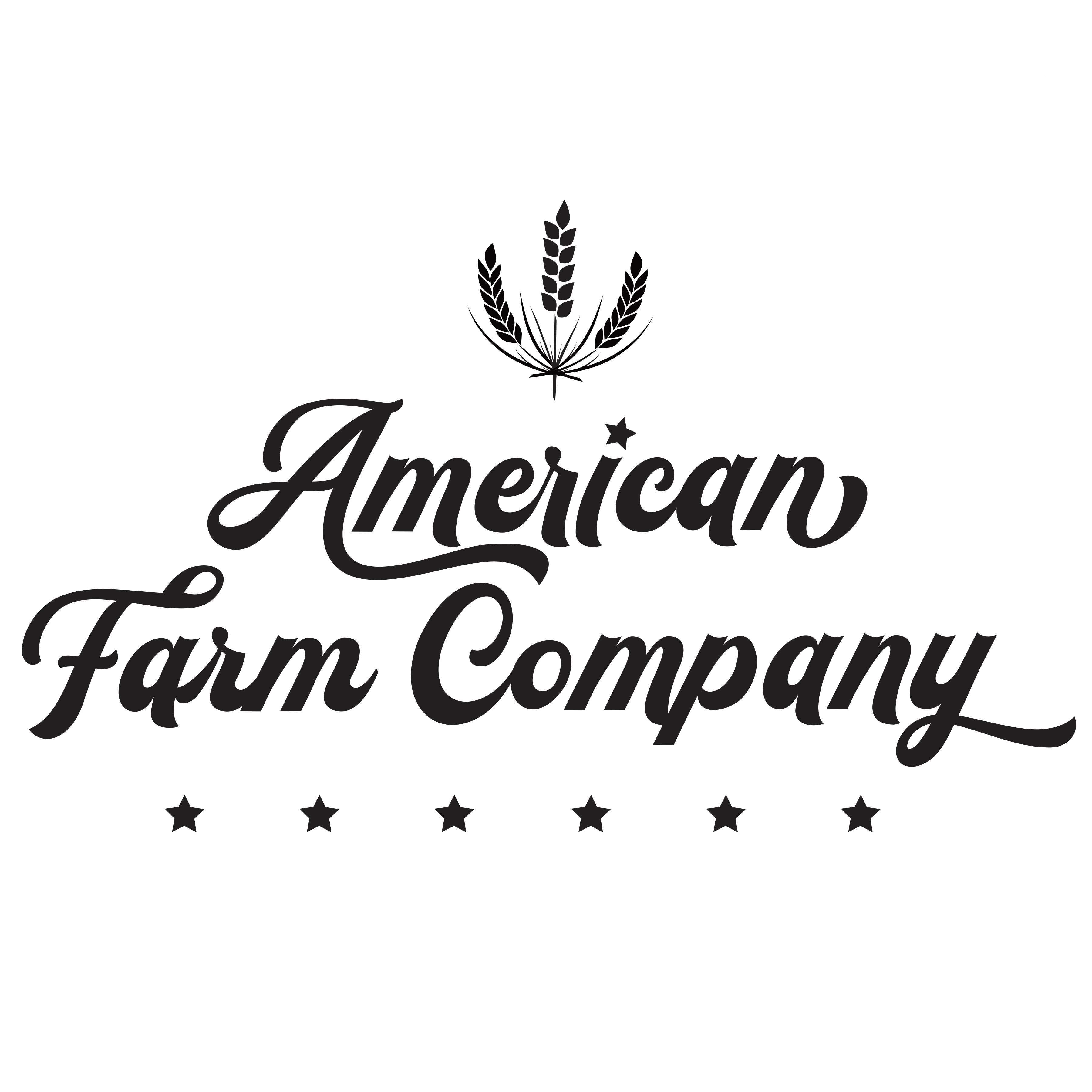 Cow Hair Claw Clip I Cow Hair Clip – American Farm Company