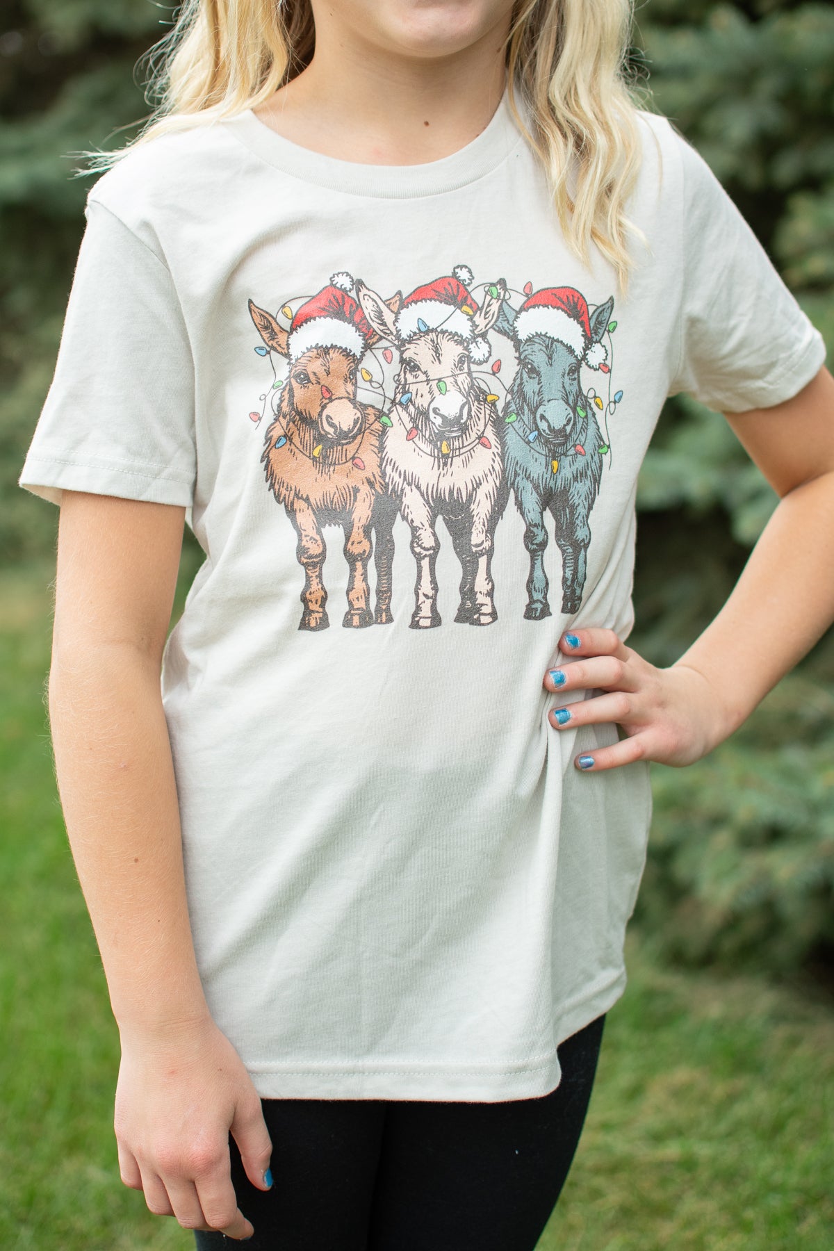 Christmas Donkeys with Lights Youth Tee
