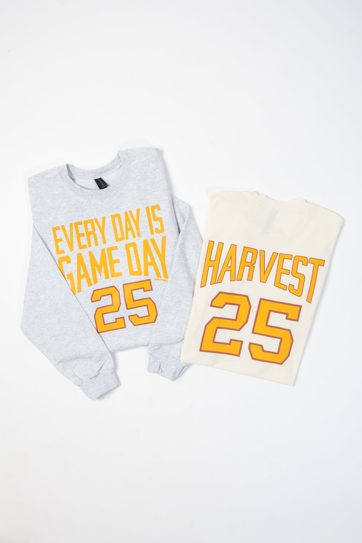 'Every Day is Game Day' Ash Crewneck