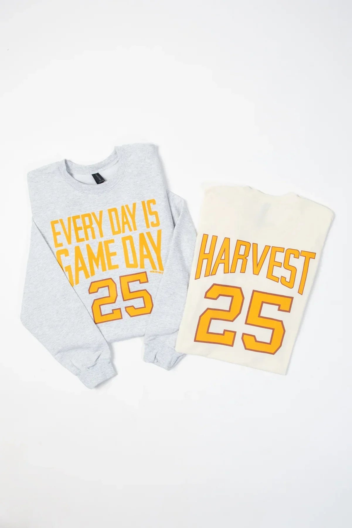 'Every Day is Game Day' Tee