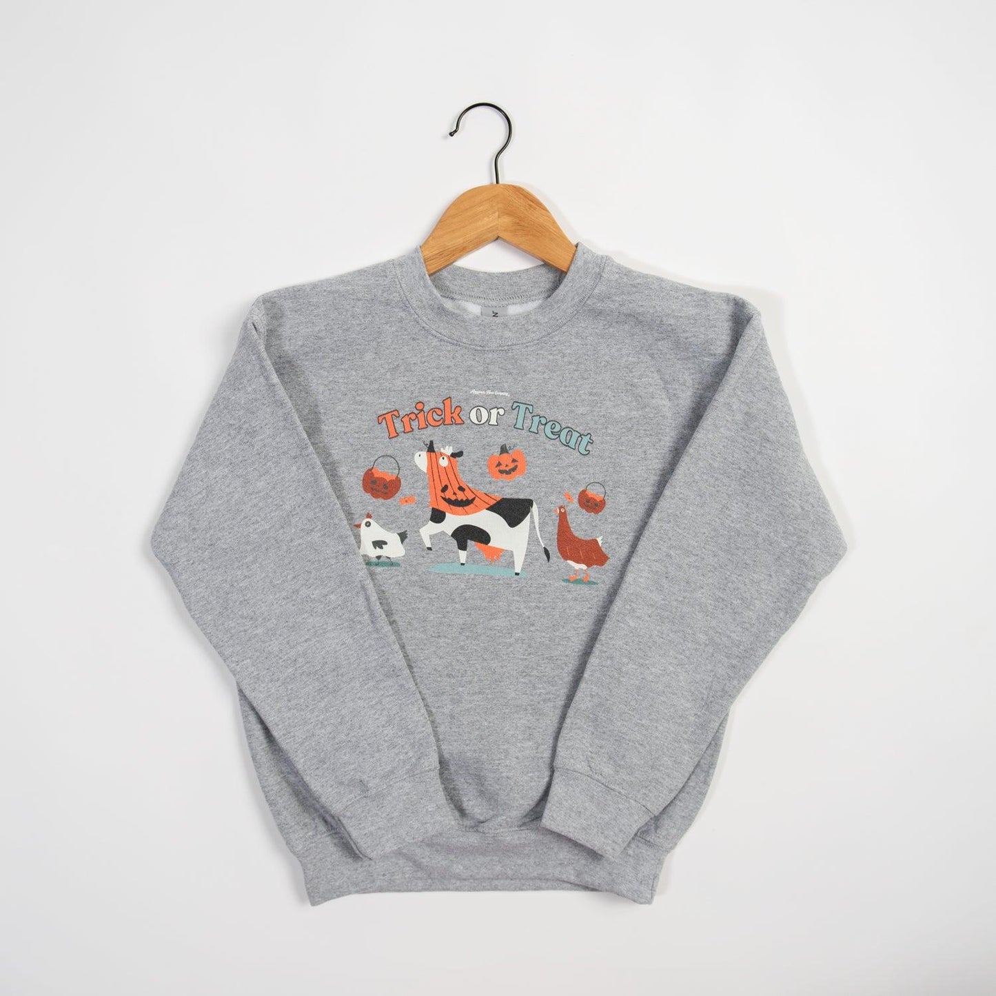 Trick or Treat Grey Youth Crewneck - American Farm Company