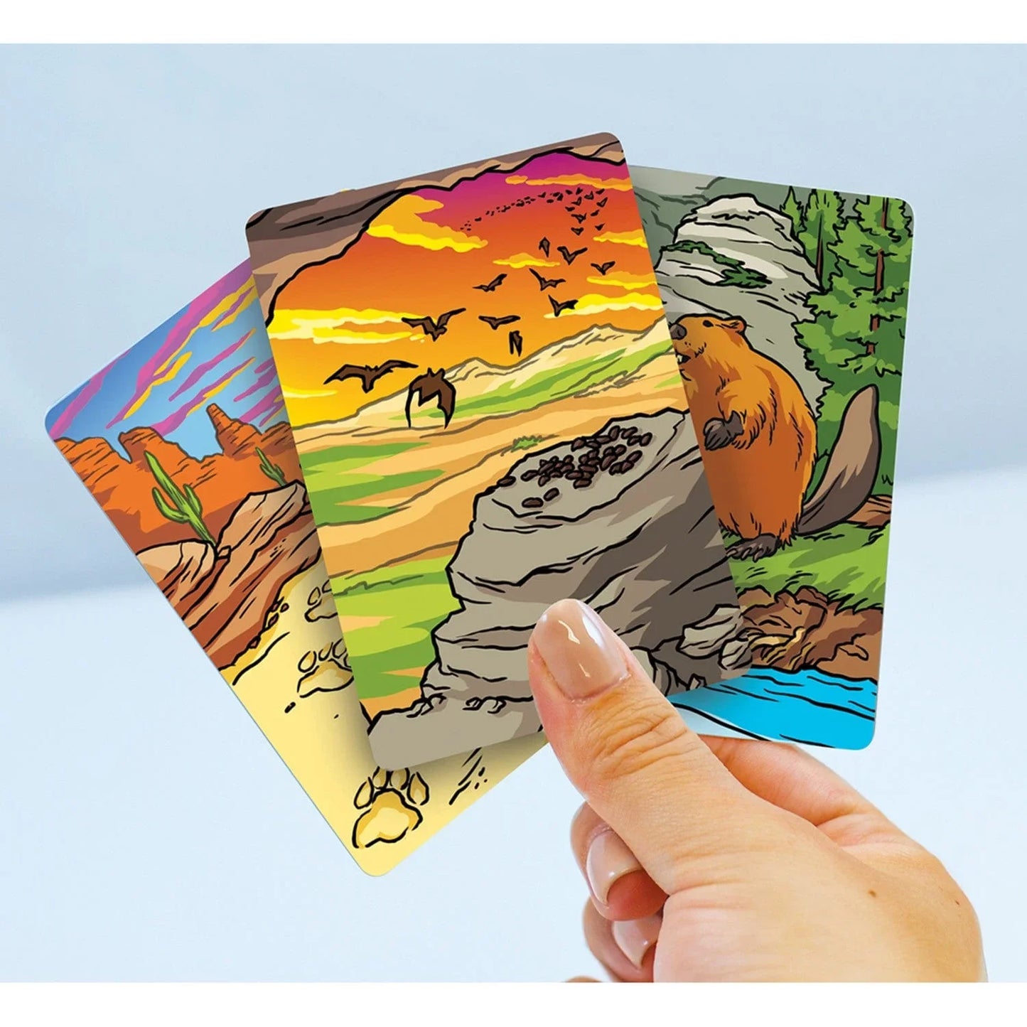 Jr. Ranger - Poop Tracks Card Game