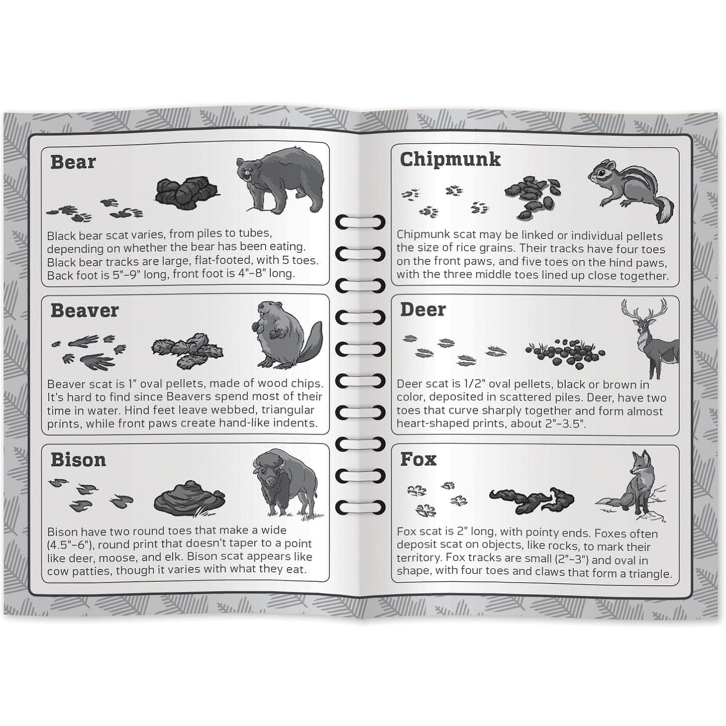 Jr. Ranger - Poop Tracks Card Game