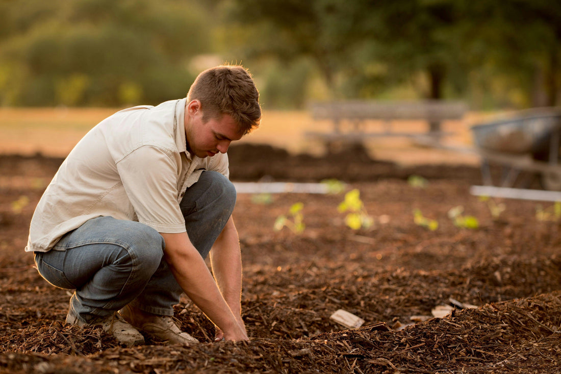 Young man in a rugged, heritage-inspired tan work shirt and jeans tending soil on a rural farm at sunset, reflecting American Farm Company’s agricultural legacy.