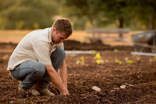 Young man in a rugged, heritage-inspired tan work shirt and jeans tending soil on a rural farm at sunset, reflecting American Farm Company’s agricultural legacy.