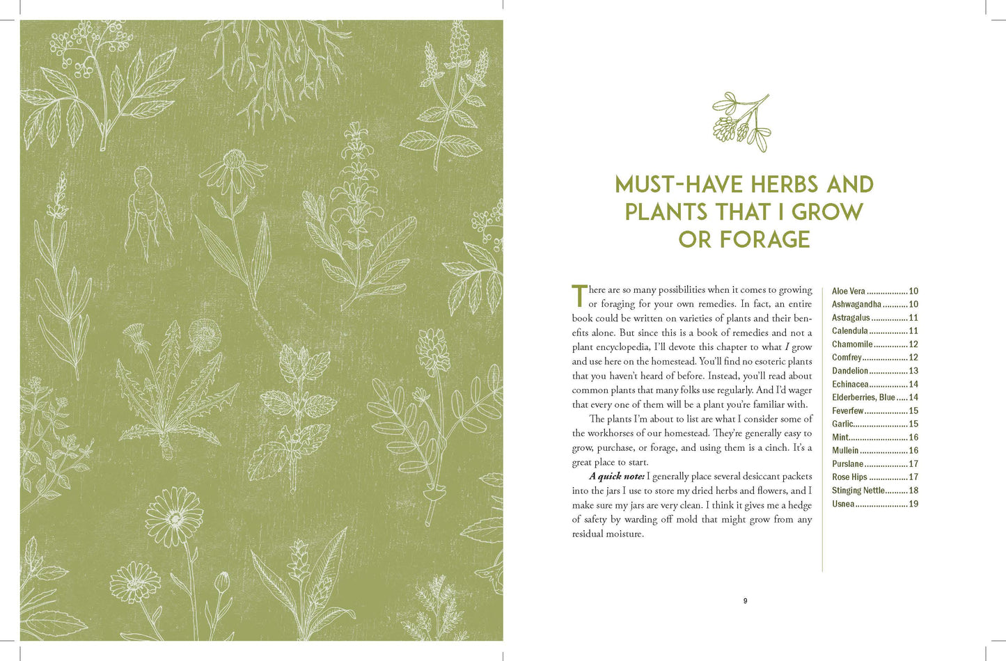 The Homestead Herbal Remedies Guide