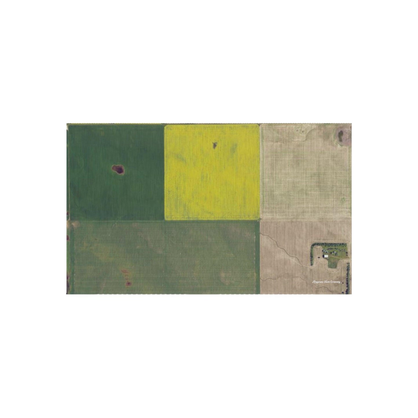 Canola and Wheat Fields Play Rug - American Farm Company