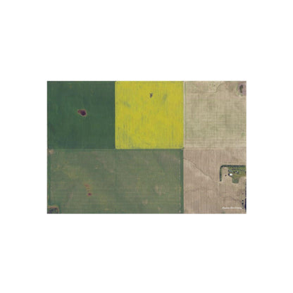 Canola and Wheat Fields Play Rug - American Farm Company