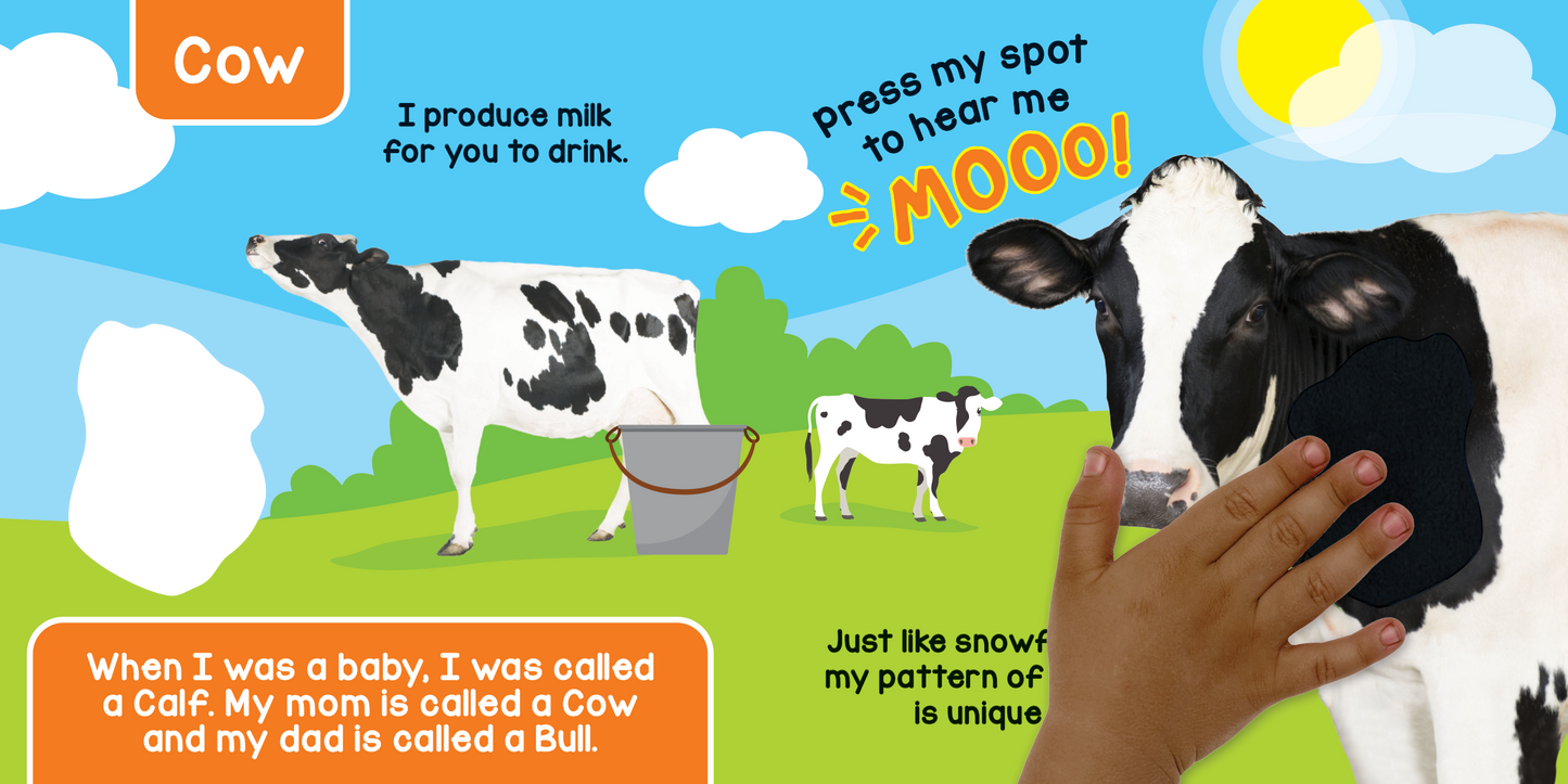 Farm Animals: Touch and Feel Sound Book