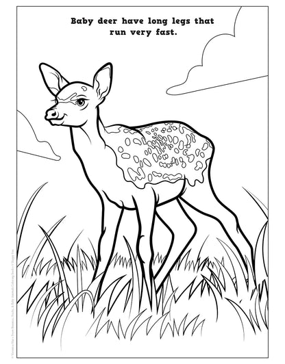 Bunnies, Ducks, and Baby Animals Coloring Book