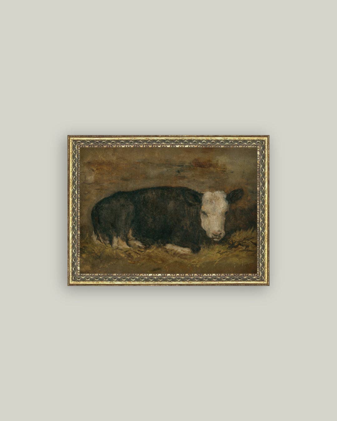 Lying Cow in Shed