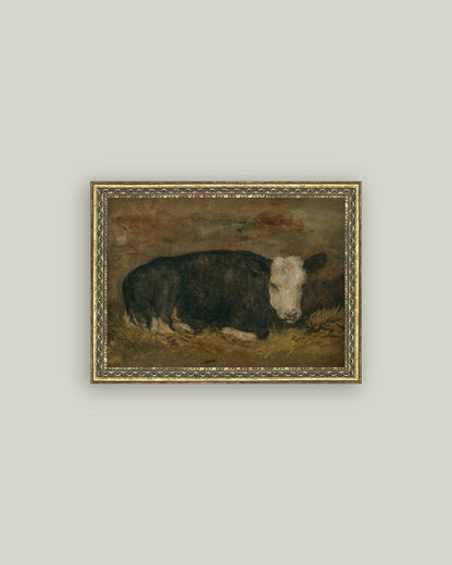 Lying Cow in Shed
