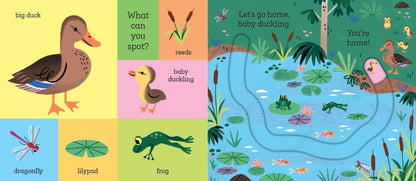 Let's Go Home, Baby Chick Book