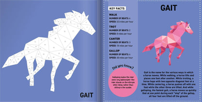 My Sticker Paintings: Horses Activity Book