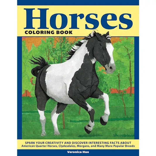 Horse Coloring Book