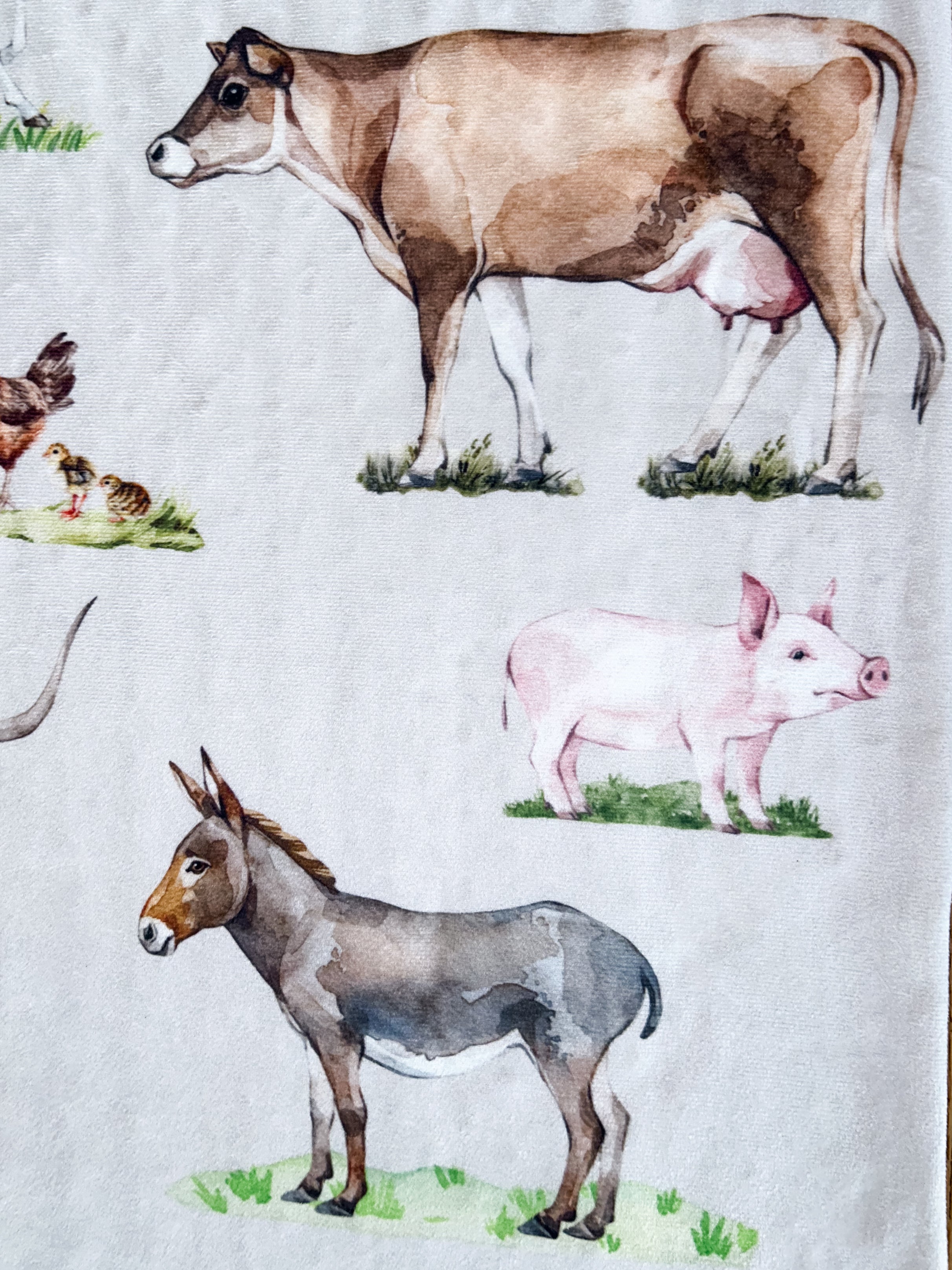Watercolor Animal Plush Blanket
