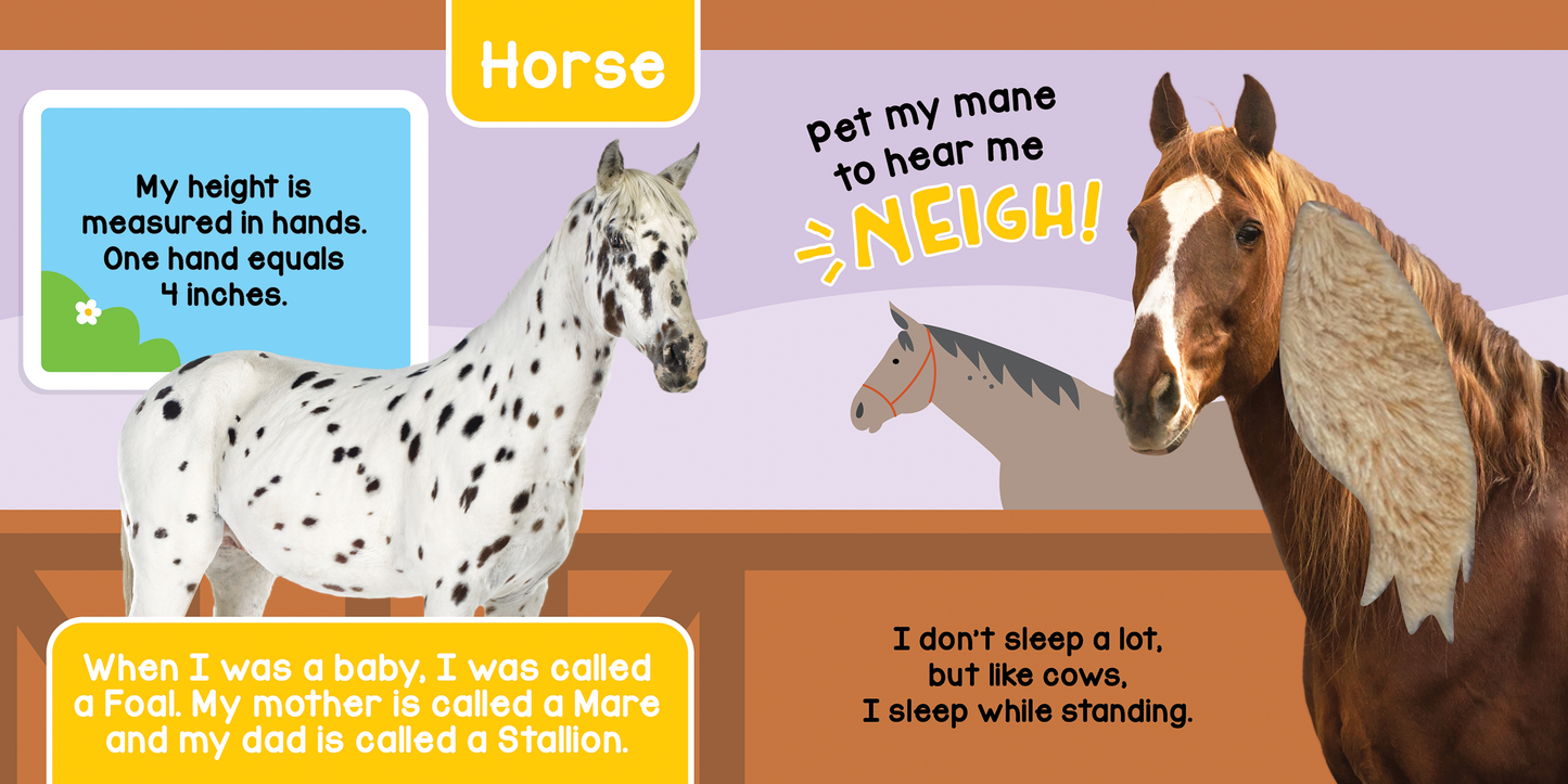 Farm Animals: Touch and Feel Sound Book