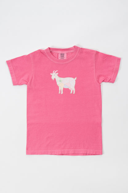Spring Patchwork Goat Toddler/Youth Tee