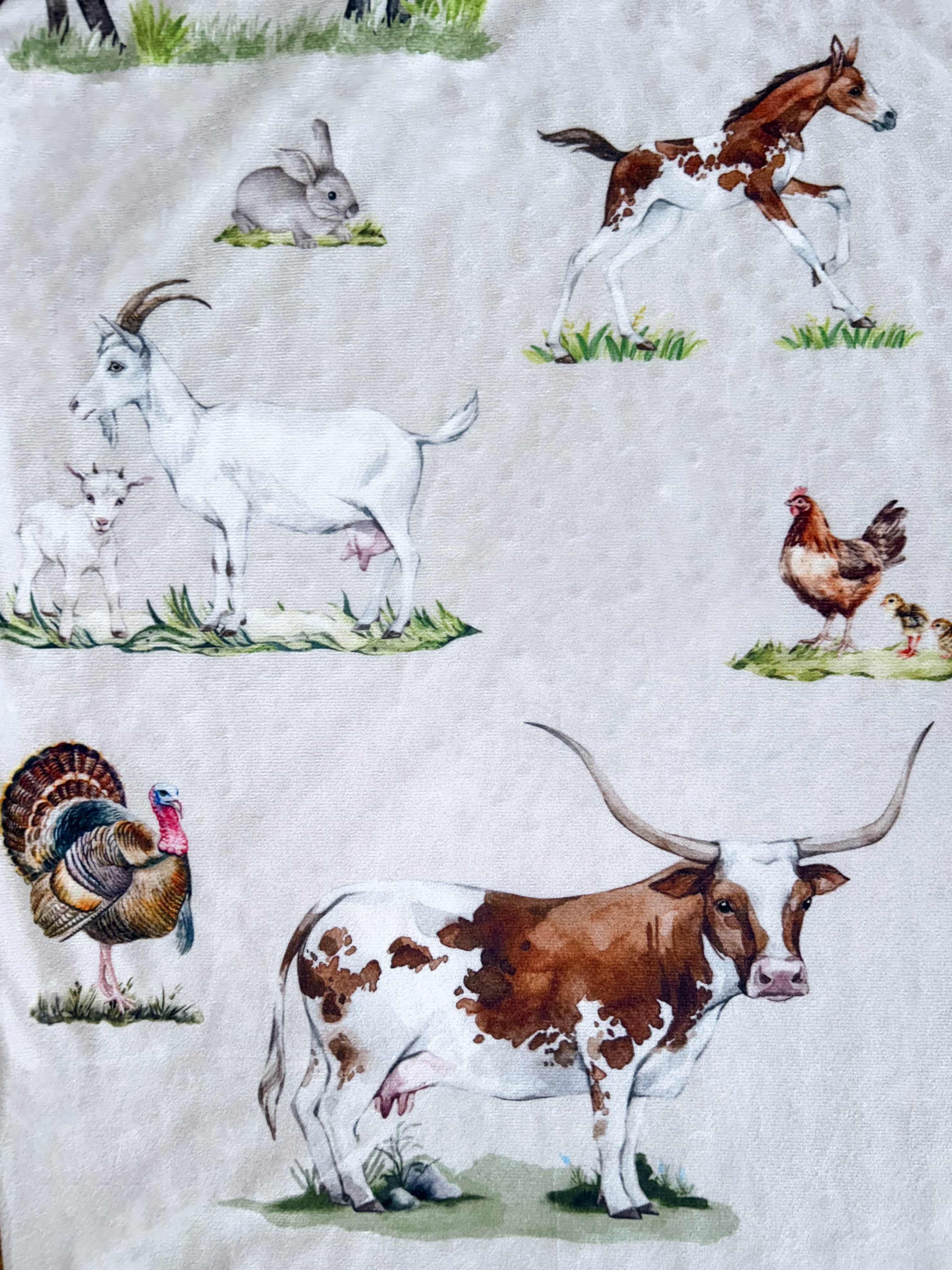Watercolor Animal Minky Blanket