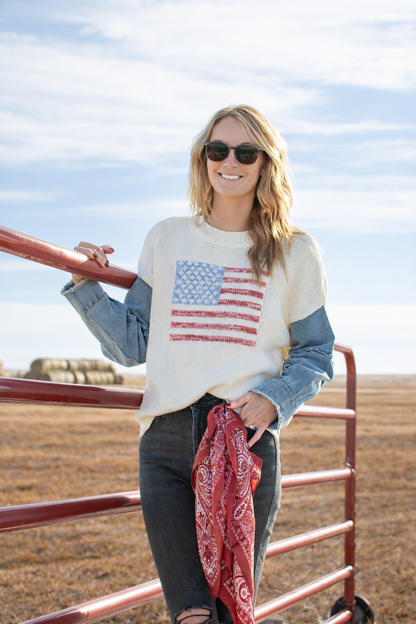 American Flag Sweater w/ Denim Sleeve