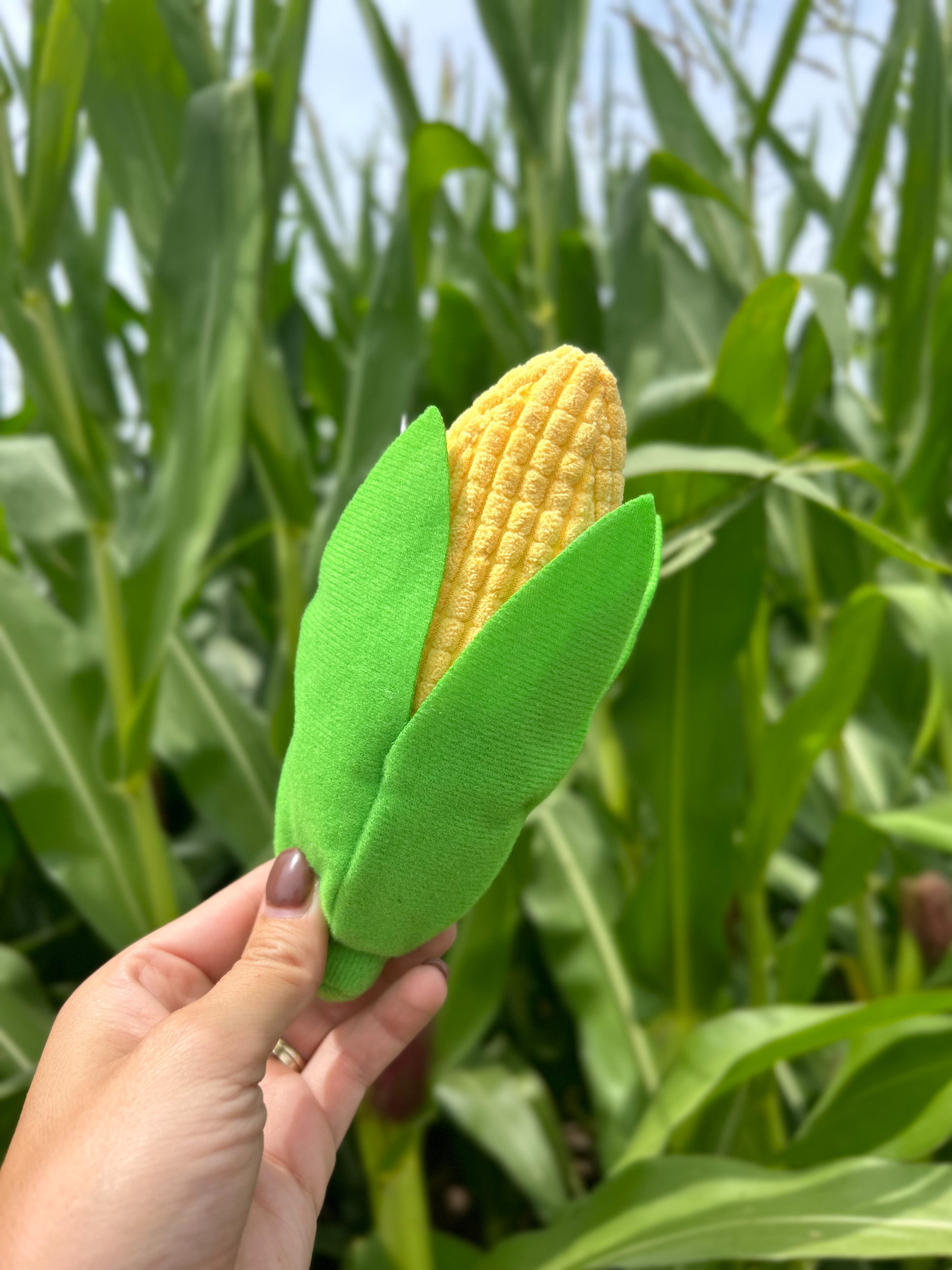 Corn Baby Rattle