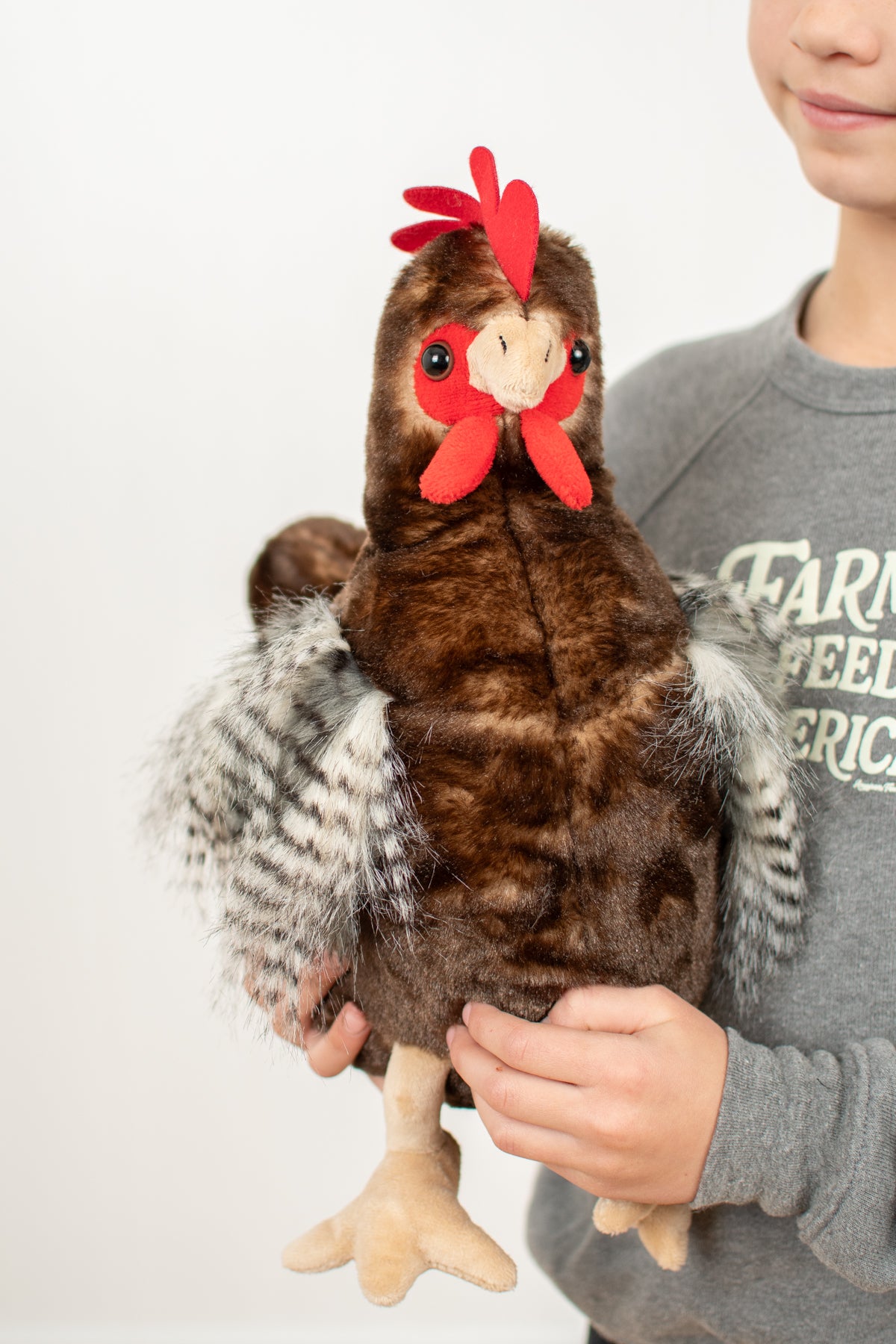 Brown Chicken Stuffed Animal Plush - 12"