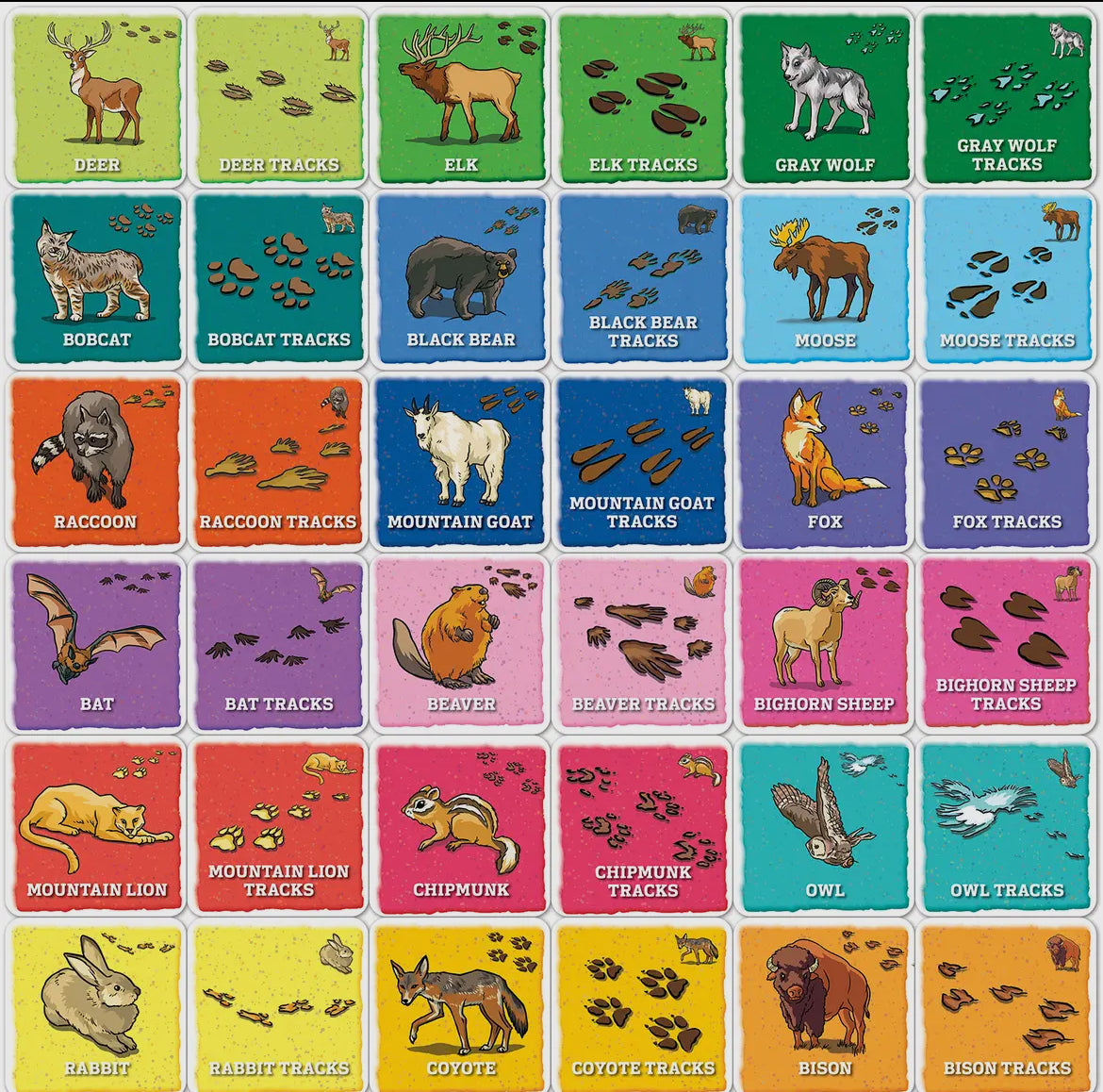 Animal Tracks Matching Game