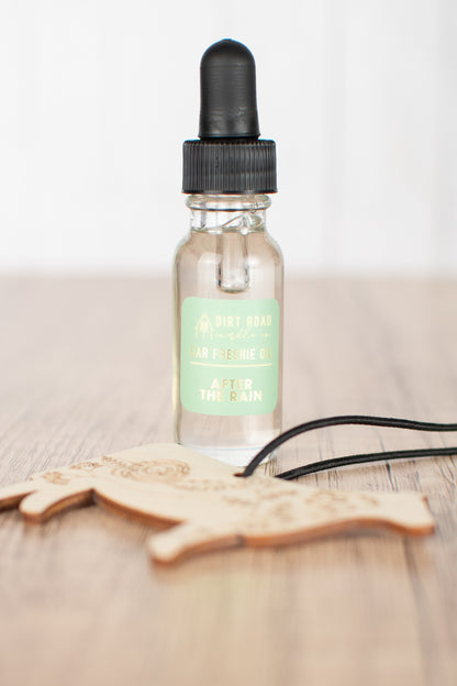 Car Freshie Kit - Spring