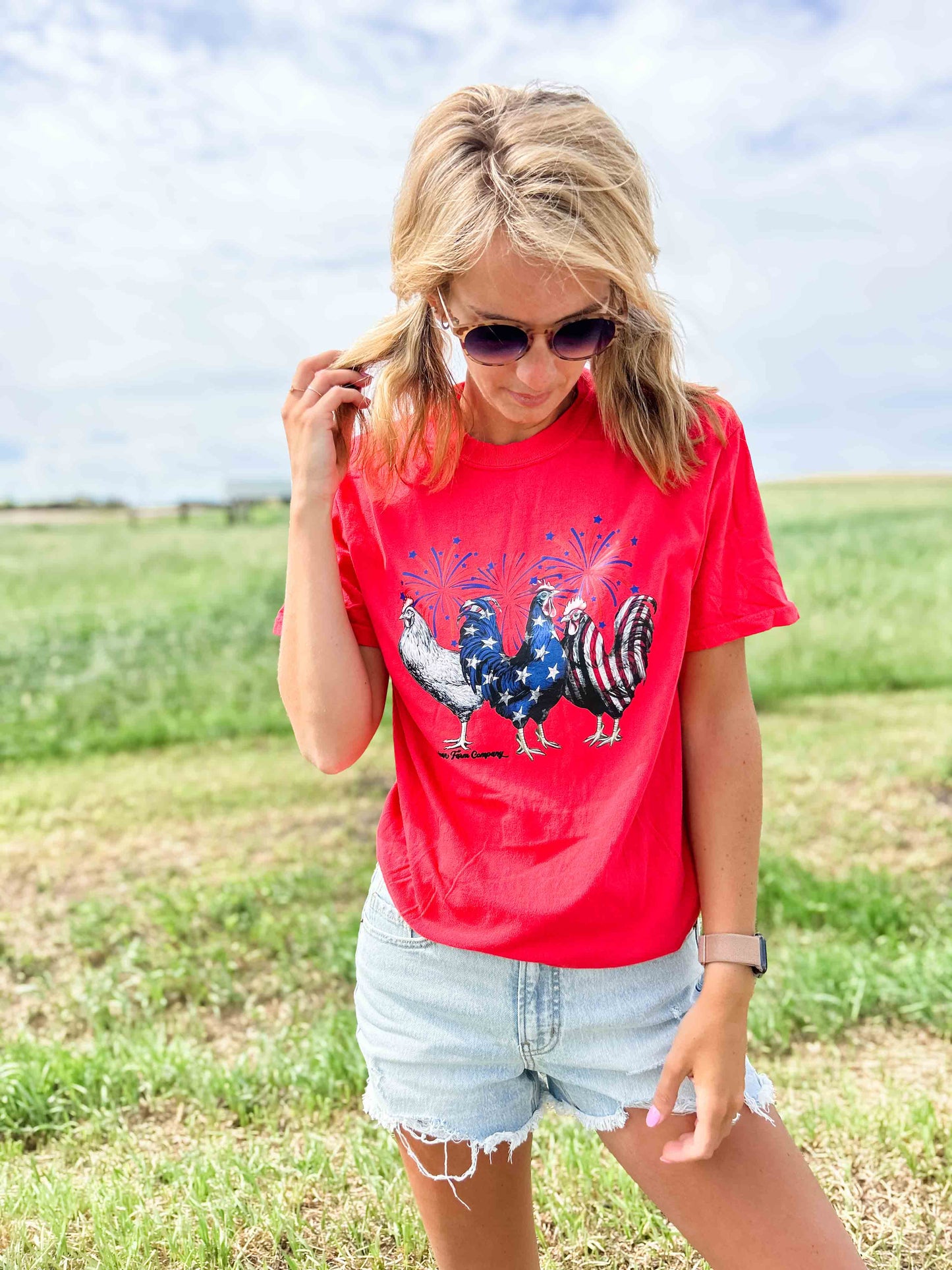 Chickens + Fireworks Tee