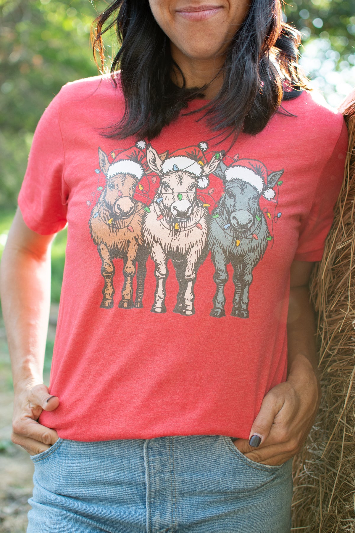 Christmas Donkeys with Lights Red Tee