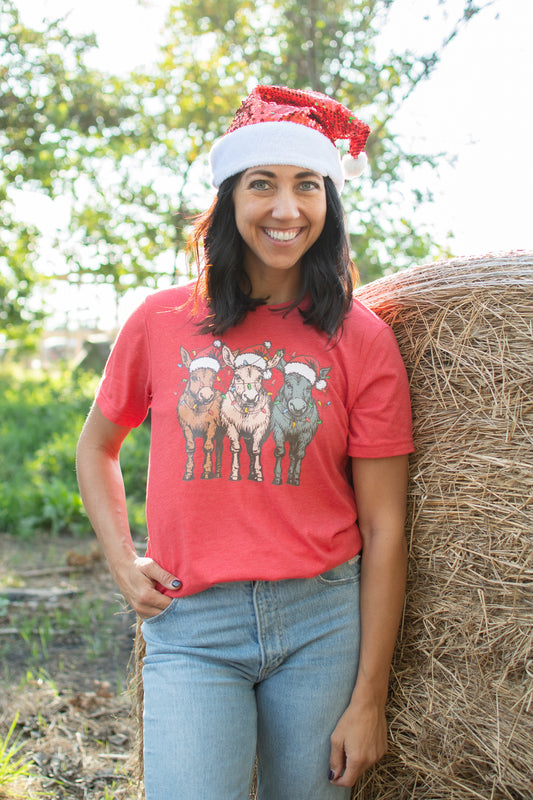 Christmas Donkeys with Lights Red Tee