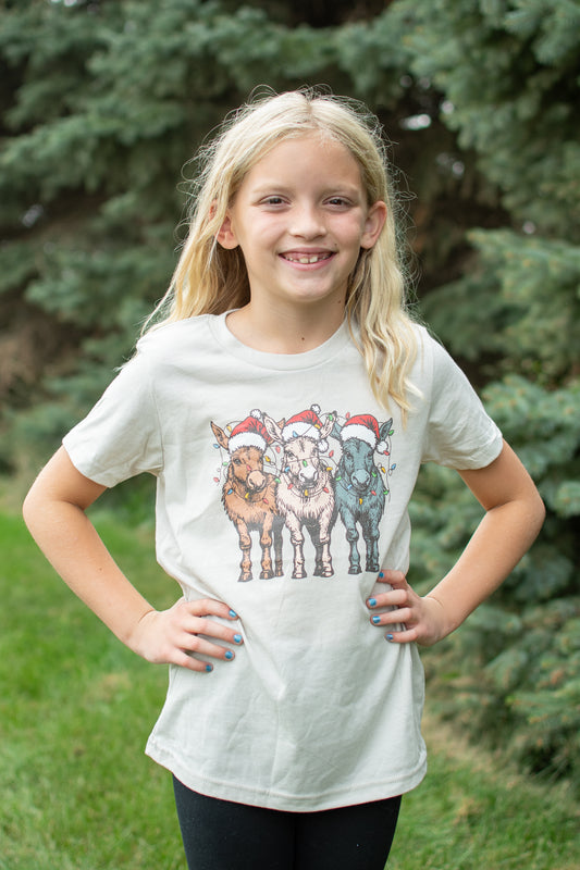 Christmas Donkeys with Lights Youth Tee