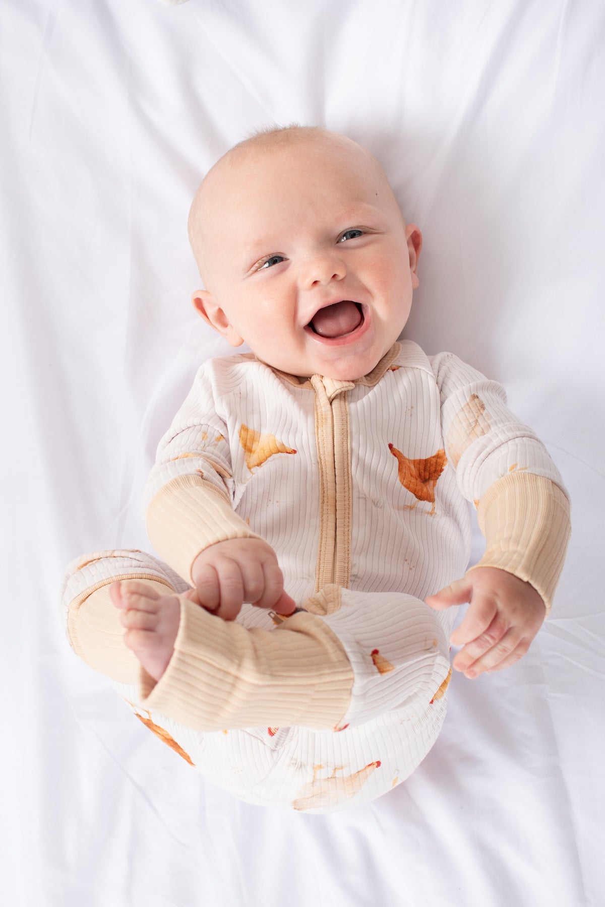 Classic Chickens Baby Ribbed Cotton Zippy