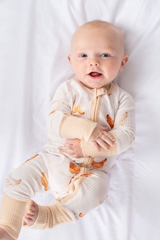 Classic Chickens Baby Ribbed Cotton Zippy