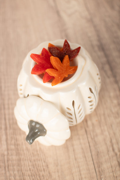 Autumn Leaf Pumpkin Warmer and Wax Melt Bundle