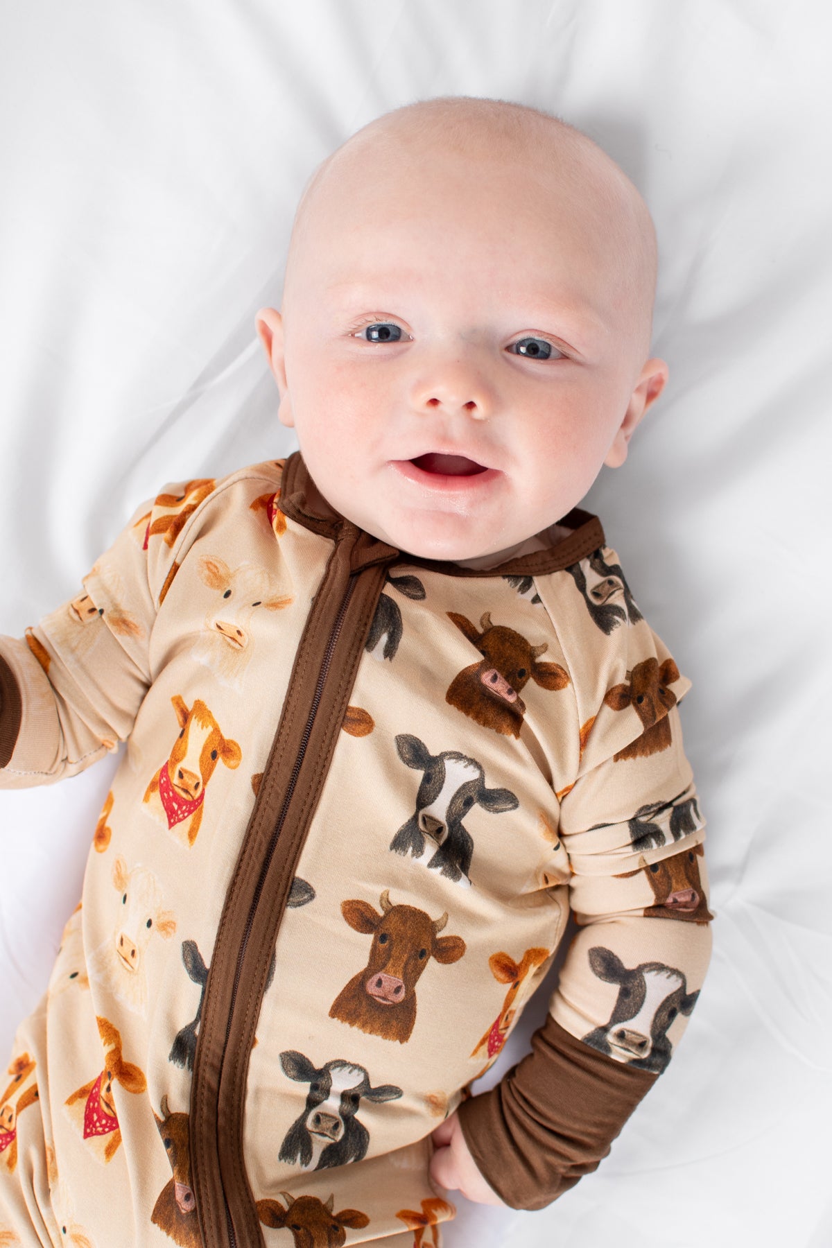 Cute Cows Baby Bamboo Zippy