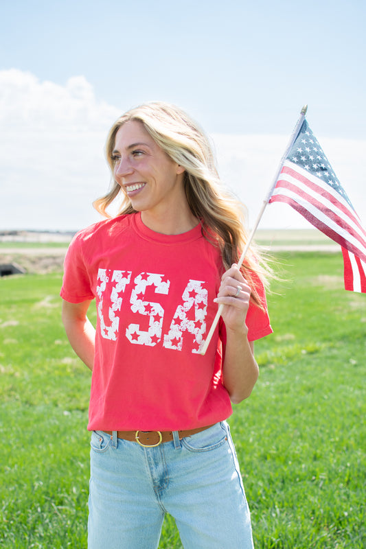 Distressed 'USA' Red Tee