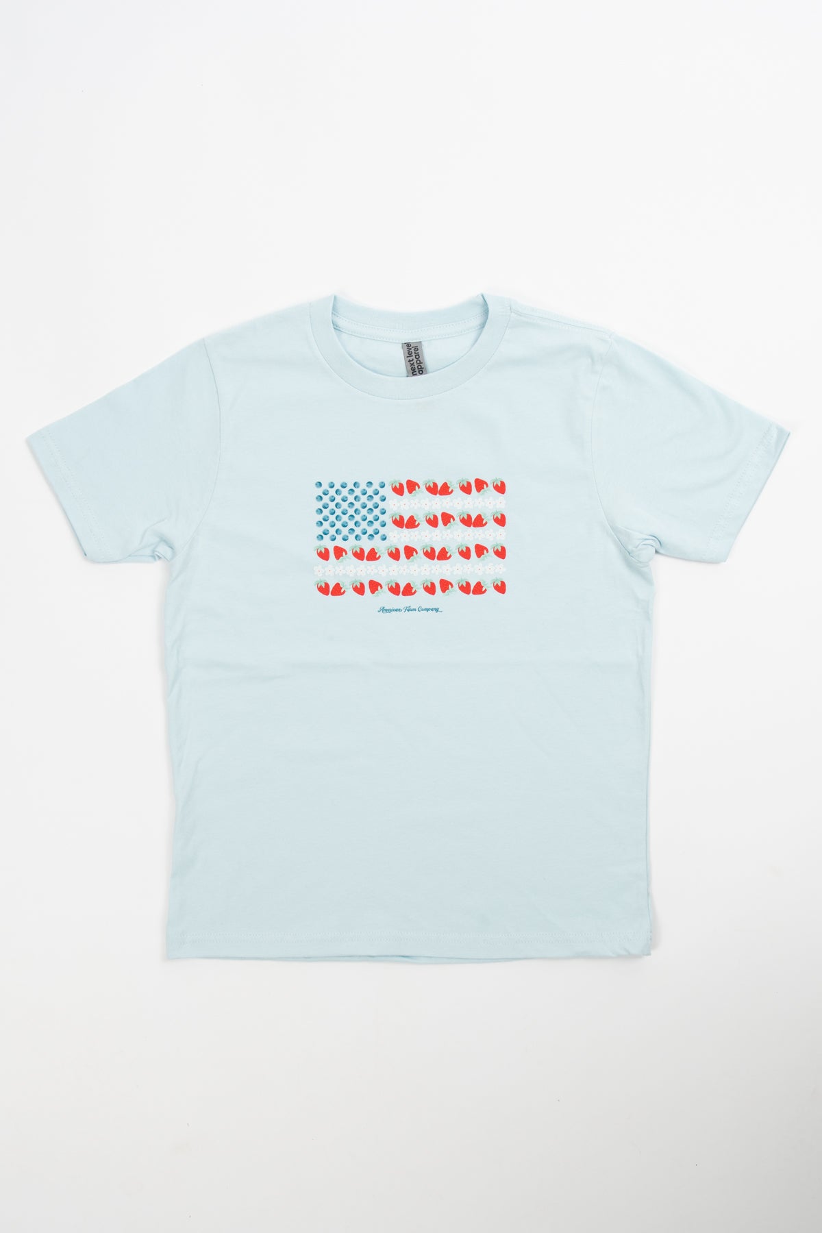 Fruit Flag Toddler/Youth Light Blue Tee