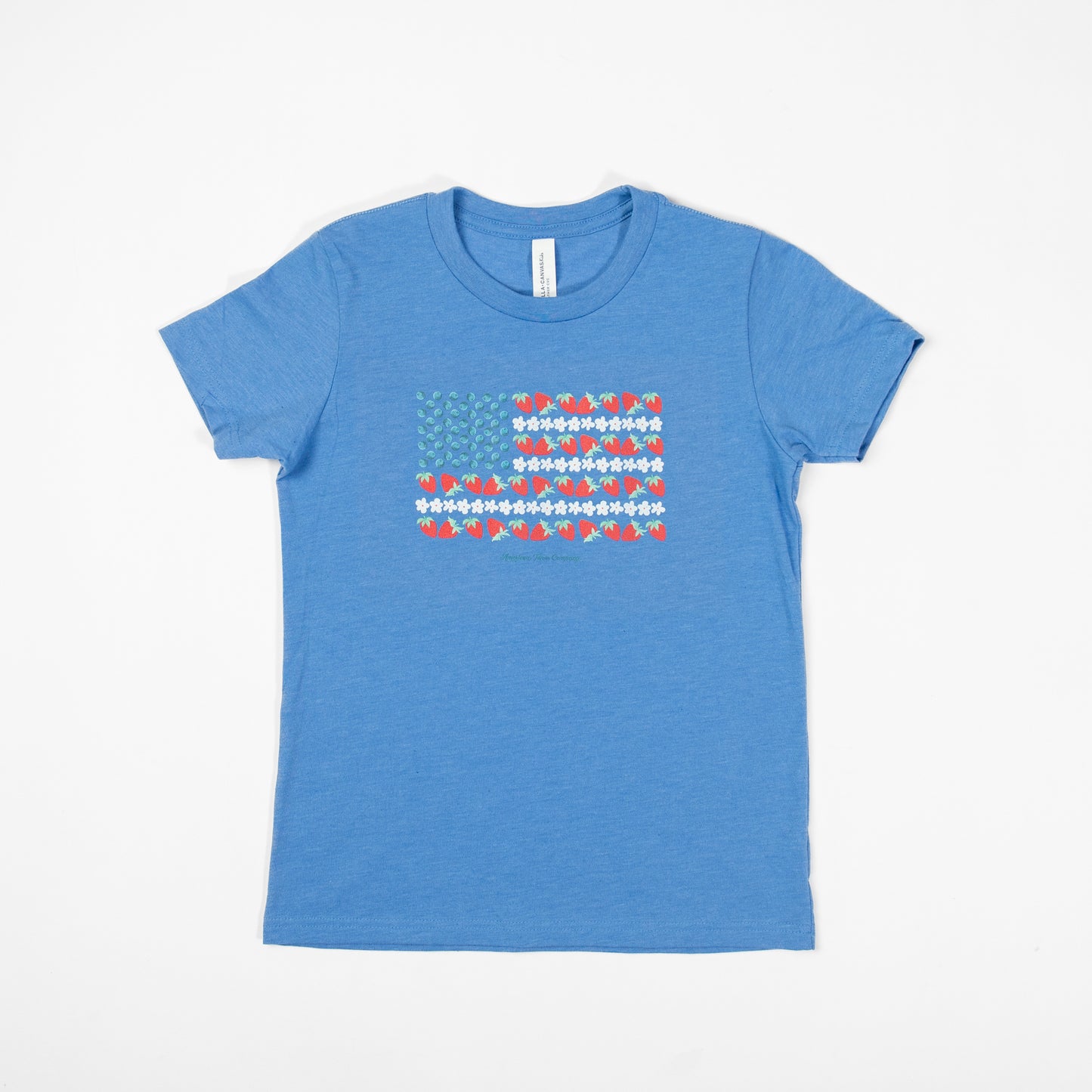 Fruit Flag Toddler Tee