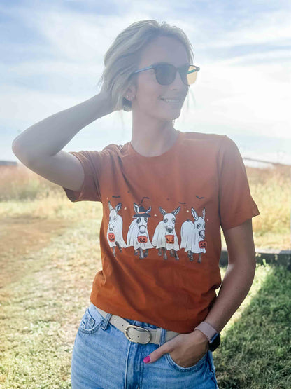 Ghost Donkeys Burnt Orange Tee - American Farm Company