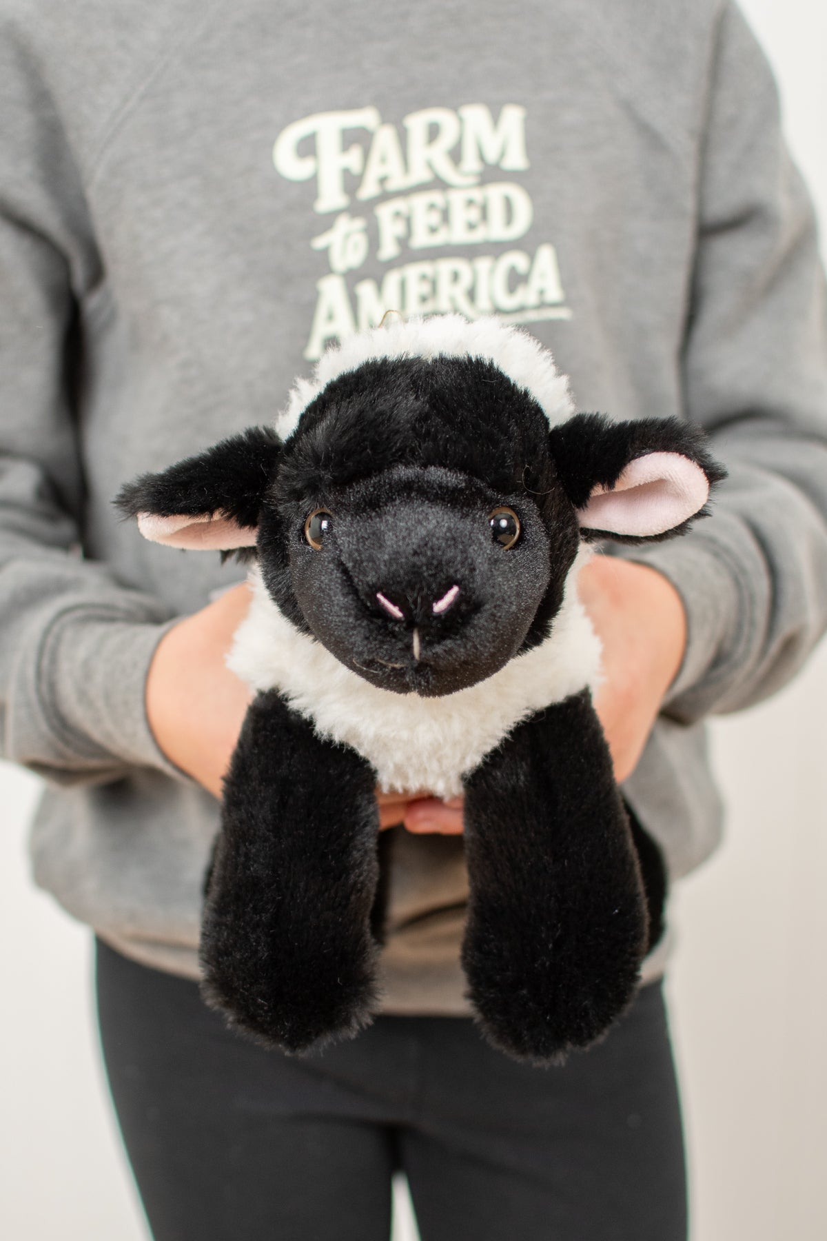 Lamb Stuffed Animal Plush - 8"
