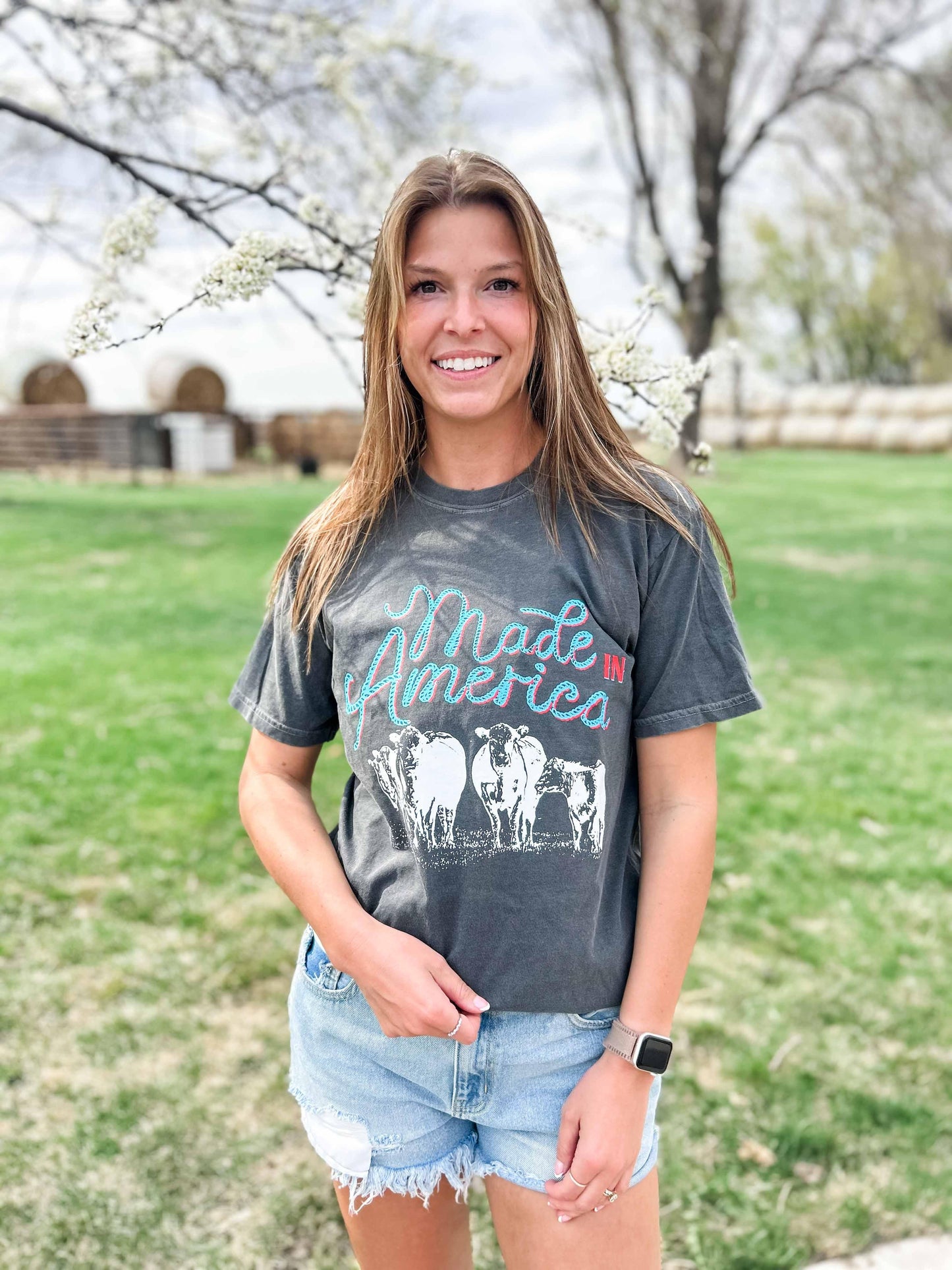 'Made in America' Beef Charcoal Tee
