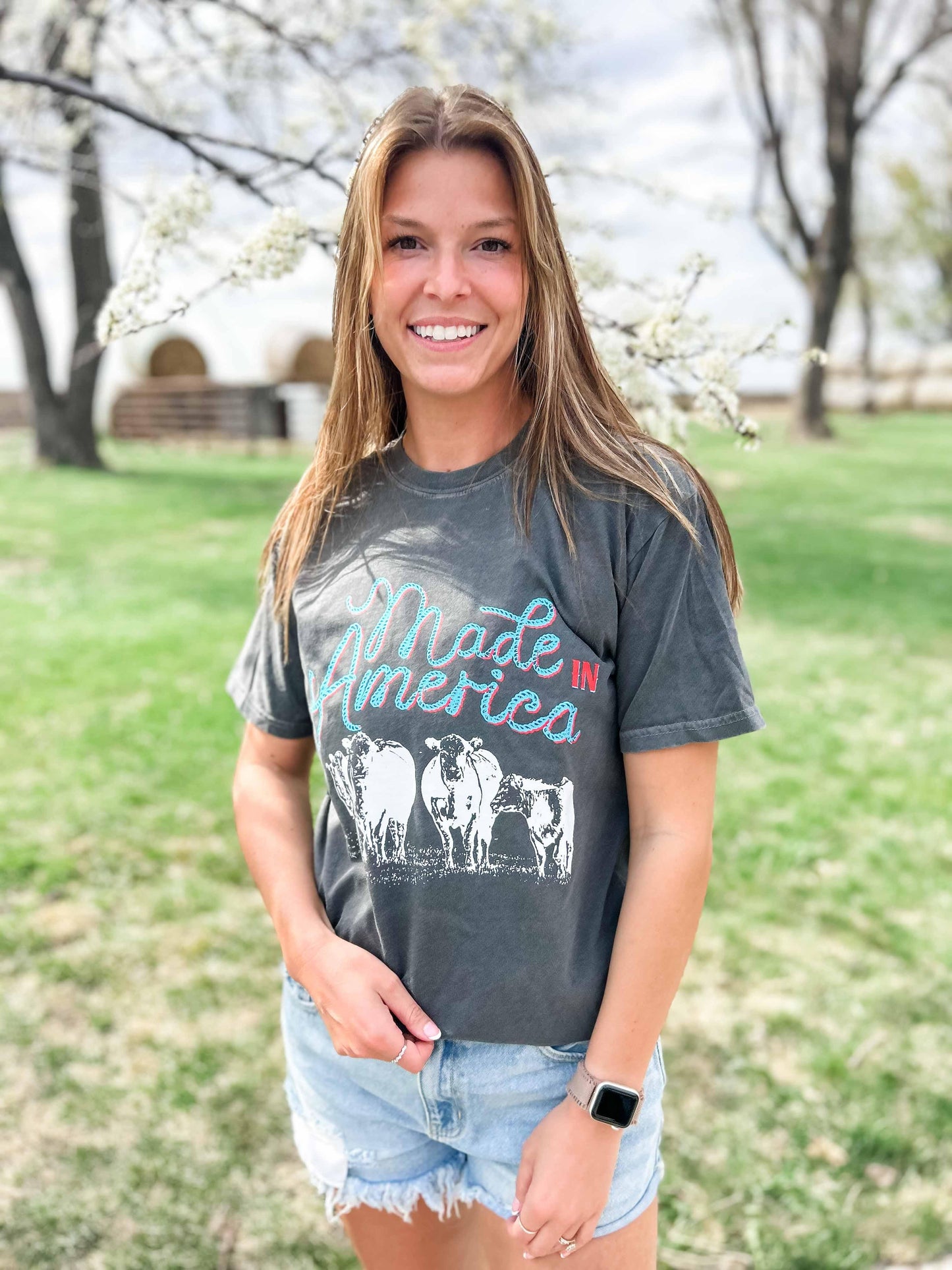 'Made in America' Beef Charcoal Tee
