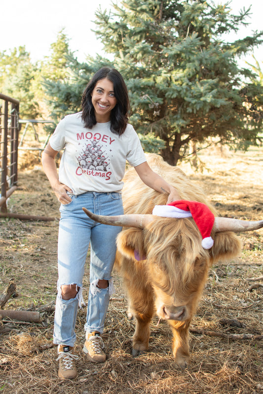 'Mooey Christmas' Highland Cow Tee