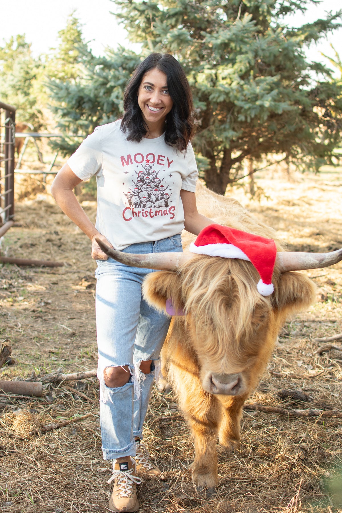 'Mooey Christmas' Highland Cow Tee